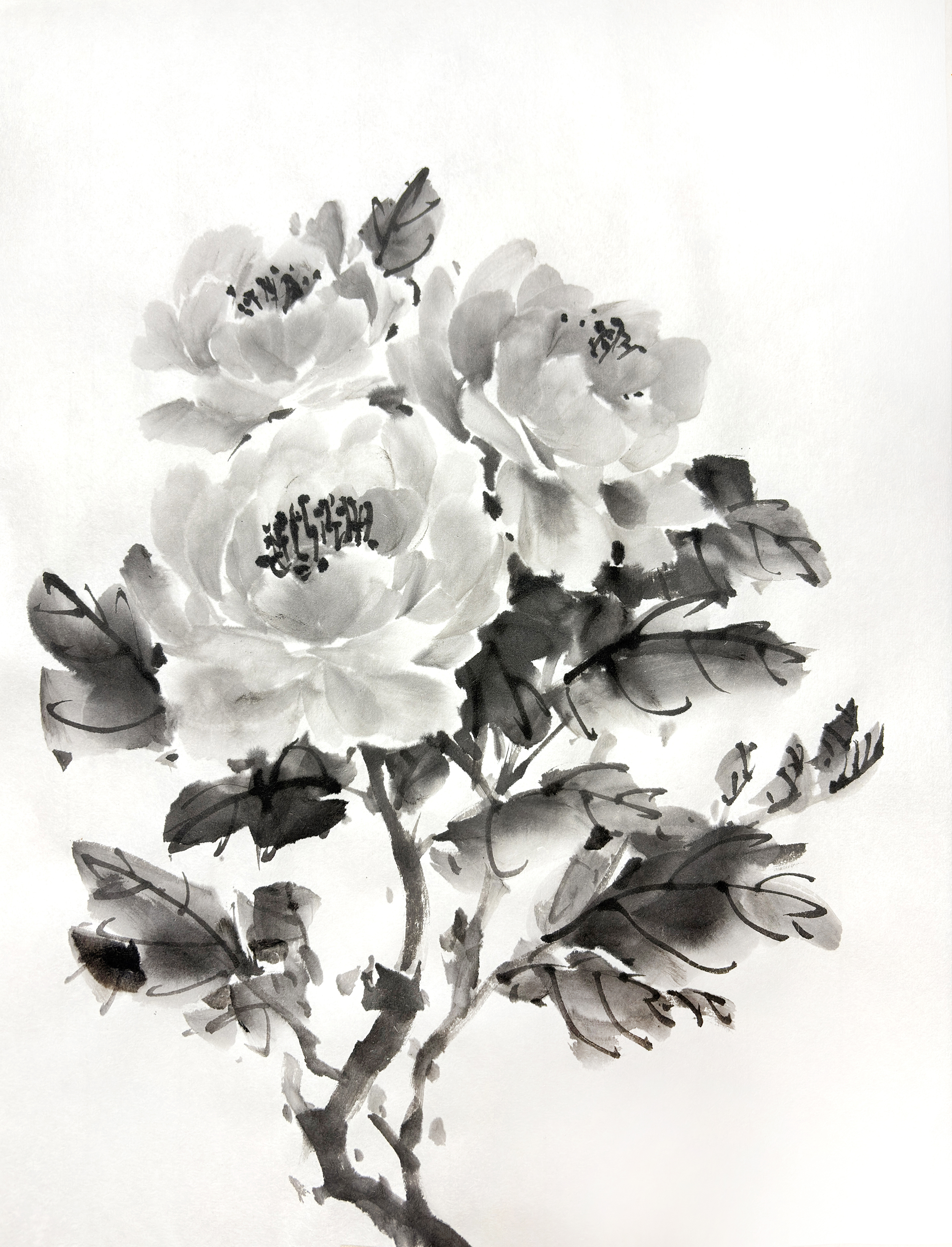Nami Yamaguchi Work 1
