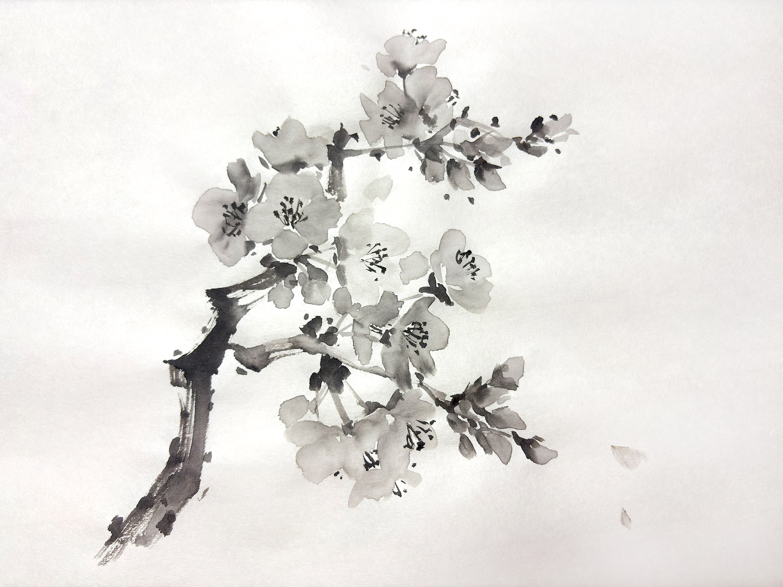 Nami Yamaguchi Work 2