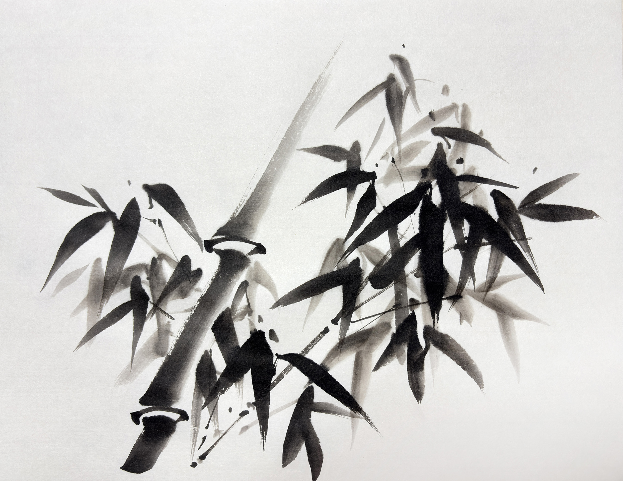 Nami Yamaguchi Work 4