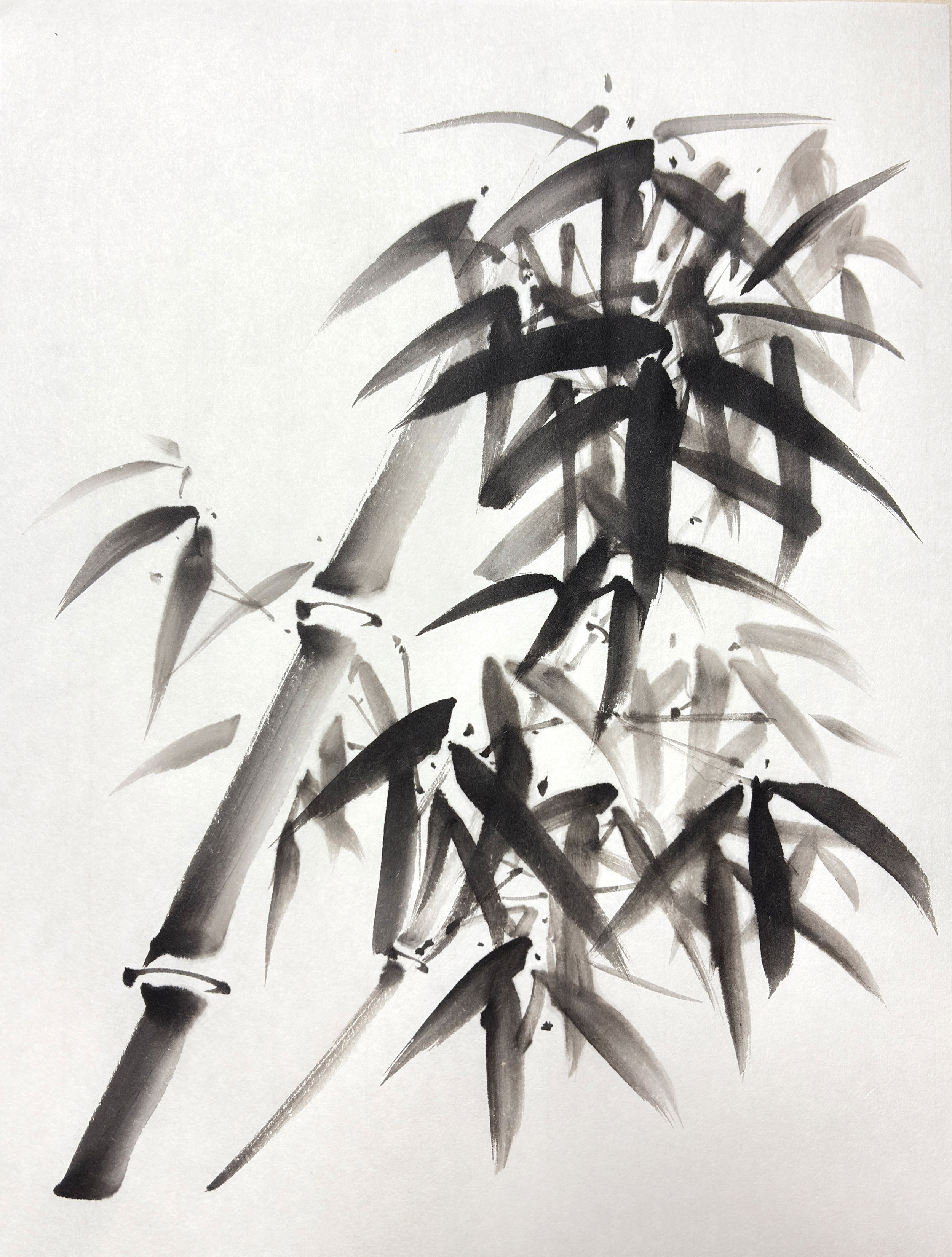Nami Yamaguchi Work 3