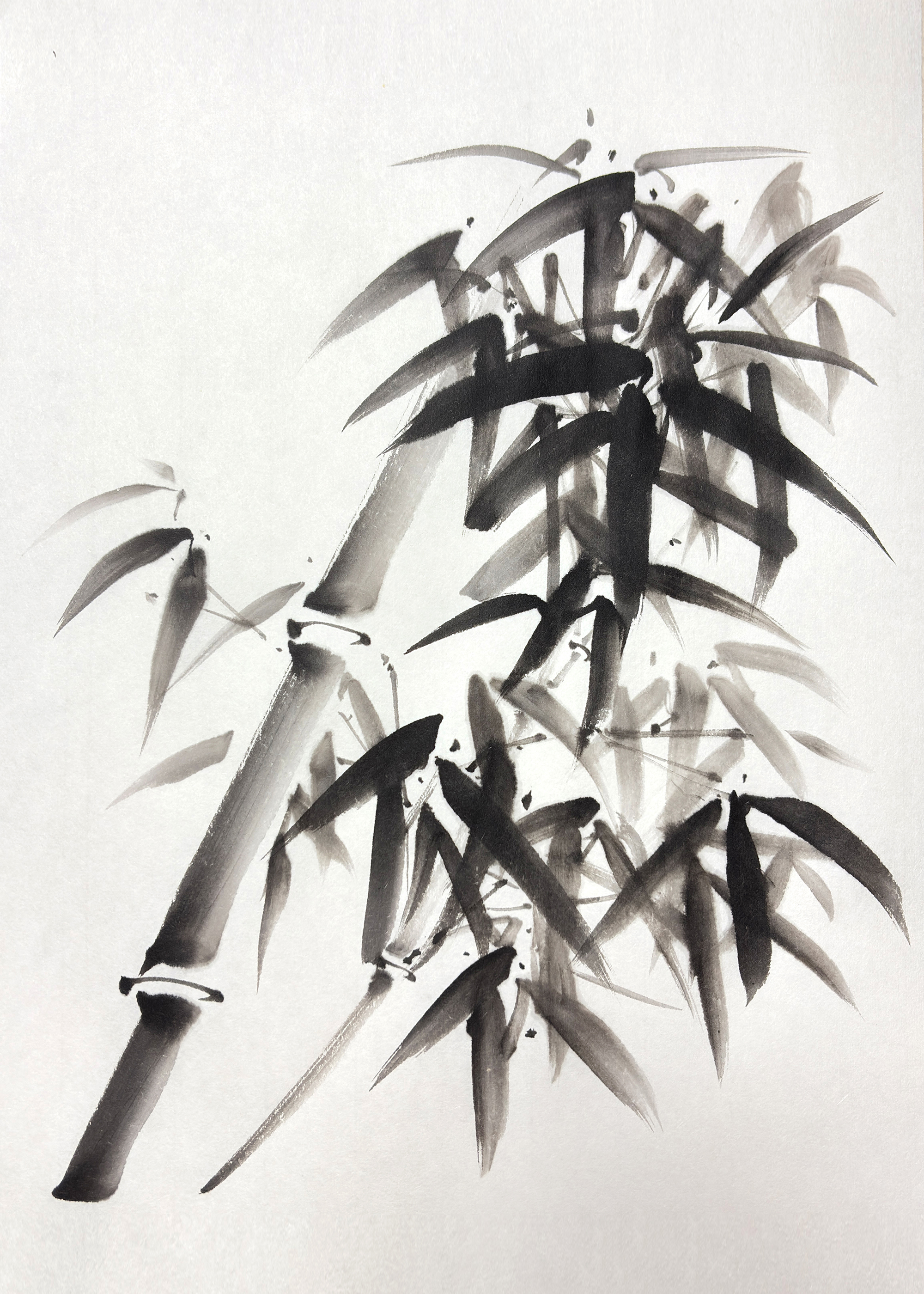 Nami Yamaguchi