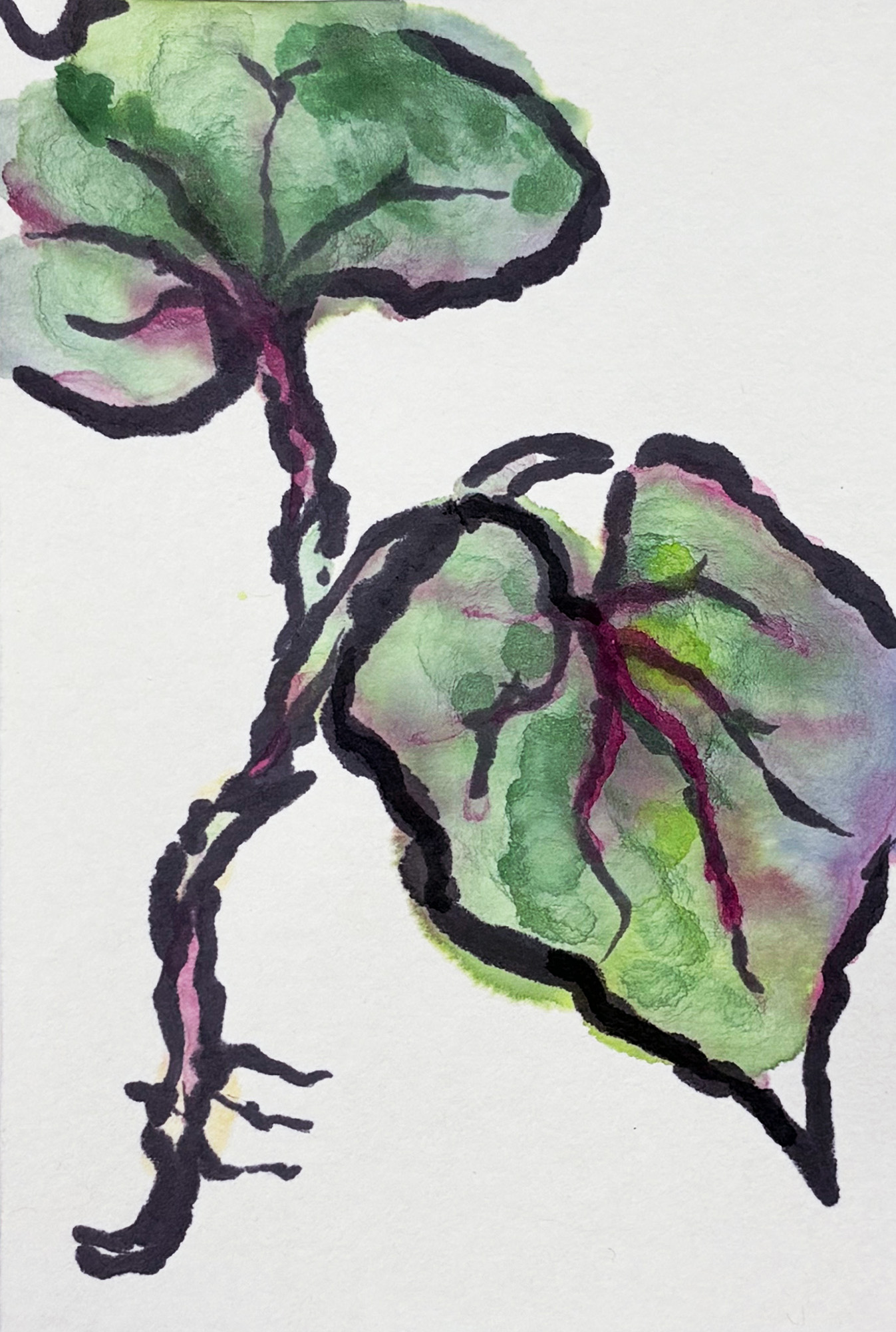 Once-in-a-Lifetime Ink Color